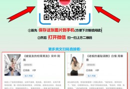 做市商有那几只股票（做市商a股）