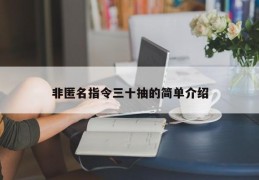 非匿名指令三十抽的简单介绍