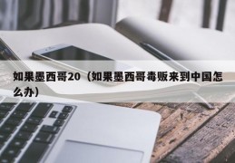 如果墨西哥20（如果墨西哥毒贩来到中国怎么办）