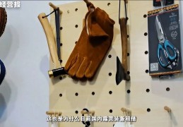 [三亚露营装备租赁]几十元就能实现精致露营？露营热当下，租赁装备真能挣钱吗？